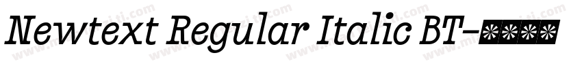 Newtext Regular Italic BT字体转换